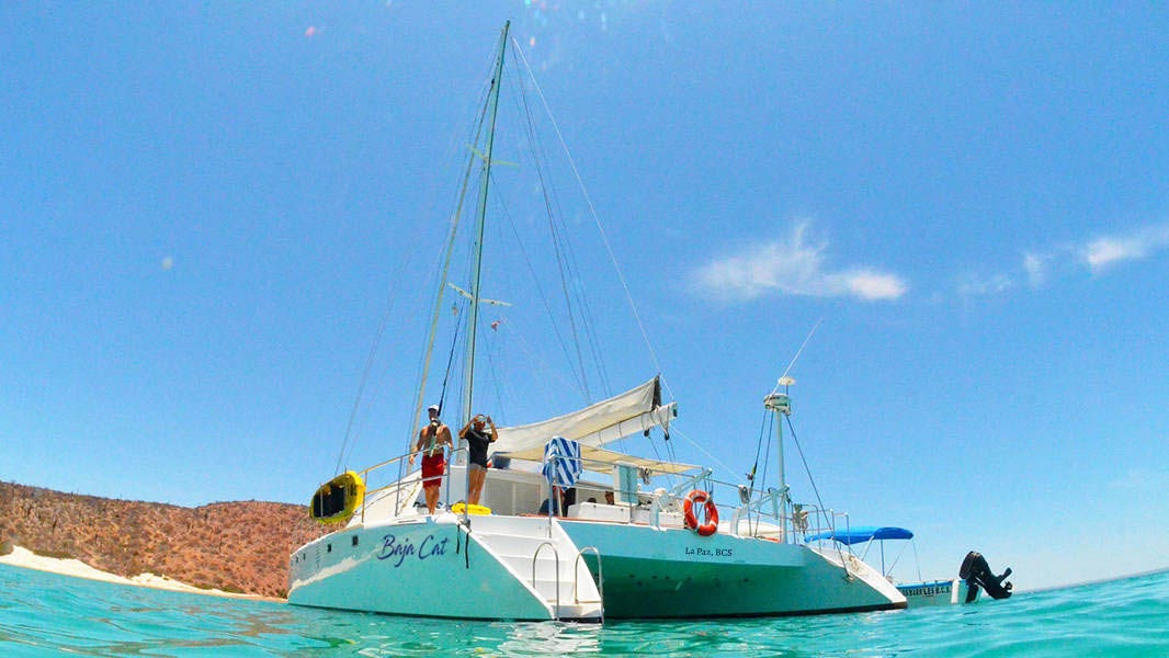 For best Snorkeling experience book an Espiritu Santo day tour