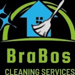 braboscleaning Profile Picture