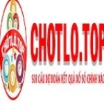 chotlo top Profile Picture