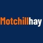 motchill haynet Profile Picture
