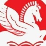 Singhal Industries Pvt Ltd Profile Picture