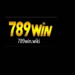 789WIN Casino Profile Picture