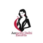 Aerocity Delhi Ecorts Profile Picture