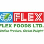 Flex Foods Profile Picture