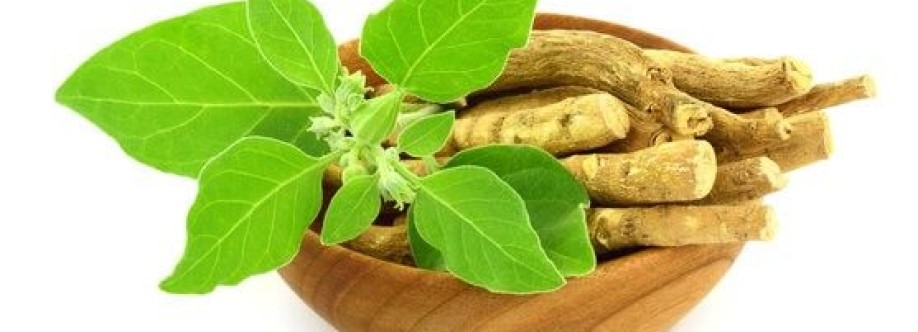 Ethic Herbs Cover Image