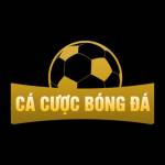 Kqbd Soccer Profile Picture