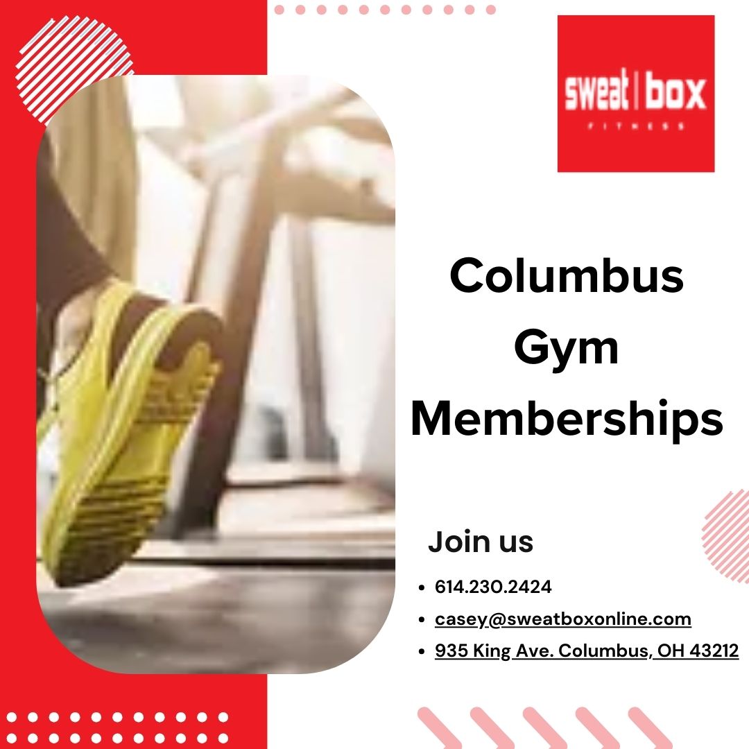 Beginners Essential Tips for Personal Training in 2024 | TheAmberPost