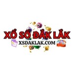 XS DAKLAK Profile Picture