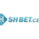 SH BET Profile Picture