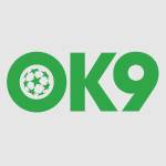 ok9 ai Profile Picture