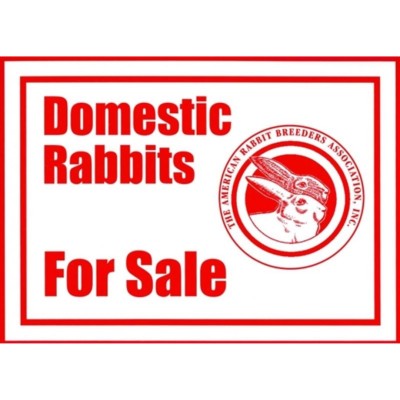 ARBA Domes Profile Picture