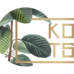 kotsrenting Profile Picture