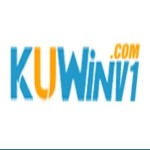 Kuwin Nv1 Profile Picture