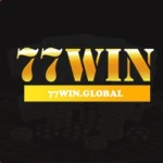 77win Global Profile Picture