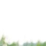 Shivani kaur Profile Picture