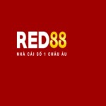 red88style Profile Picture