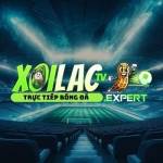 XoilacTV Expert Profile Picture