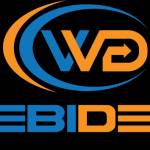 webidebi Profile Picture