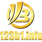 123B profile picture