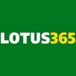 lotus365apk Profile Picture