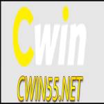 cwin55net1 Profile Picture