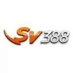 SV88 Profile Picture