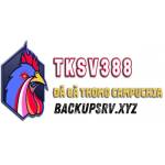 TKSV388 Profile Picture