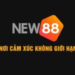 Nhà Cái New88 Profile Picture
