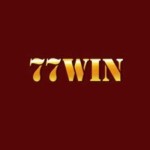77winitcom Profile Picture