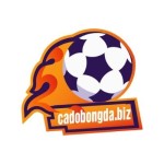 Trang cá độ bóng đá Profile Picture