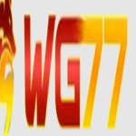 WG77 Casino Profile Picture
