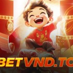 betvndto Profile Picture