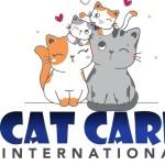 Cat Care Profile Picture
