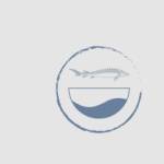 winecountrycaviar Profile Picture