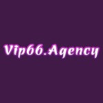 Vip66 Nhà Cái Cá Cược Hàng Đầu Việt Nam 2024 Profile Picture