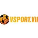 Vsport Bz Profile Picture