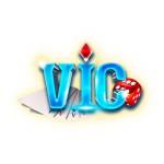 VicClub Profile Picture