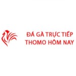 Đá Gà Trực Tiếp Thomo Hôm Nay Profile Picture