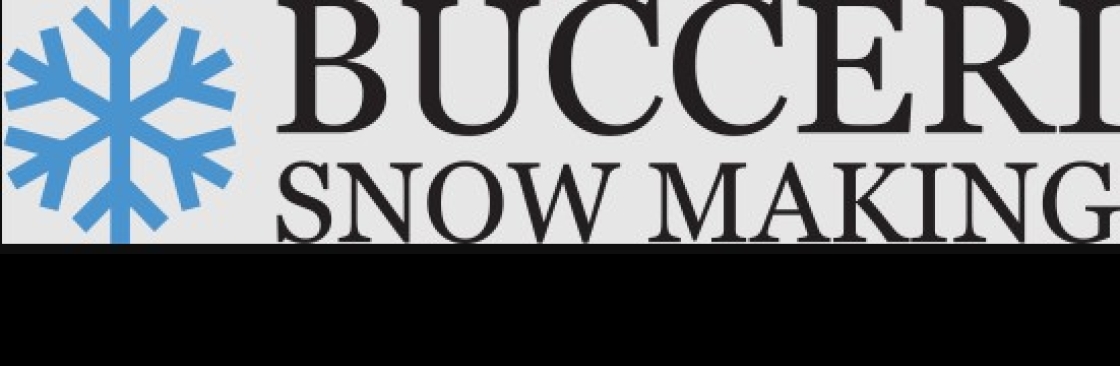 Buccerisnowmaking Cover Image