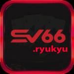 SV66 Profile Picture