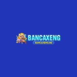Cổng game bancaxeng Profile Picture