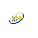 Vnbet Foundation Profile Picture