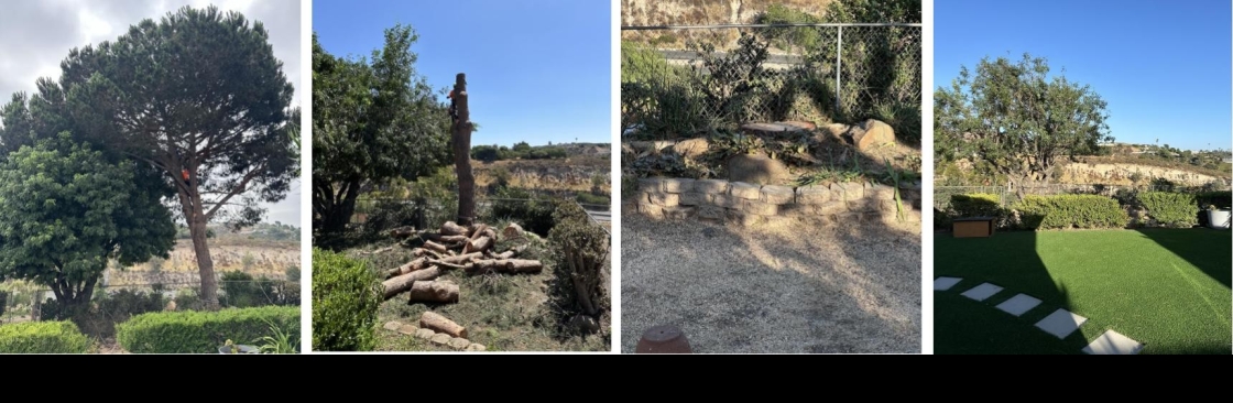 ramostreeserviceinc Cover Image