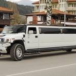 Limousine Fort Myers Profile Picture