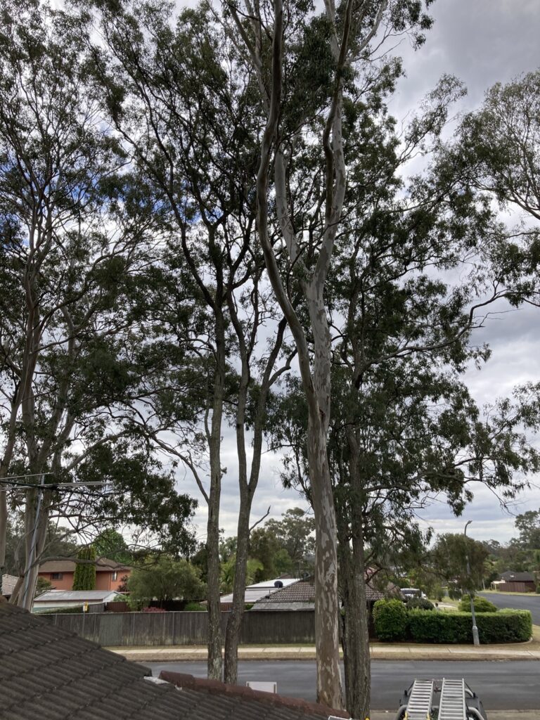 Campbelltown - Western Sydney Gutter Cleaning