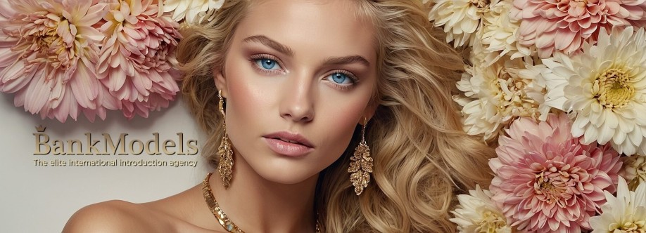 BankModels Cover Image