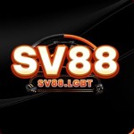 sv88lgbt1 Profile Picture