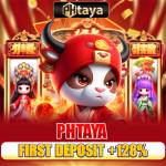 phtayabio Profile Picture