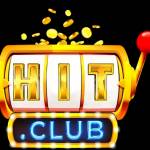 HITCLUBZ DEV Profile Picture