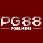 PG88 meme Profile Picture